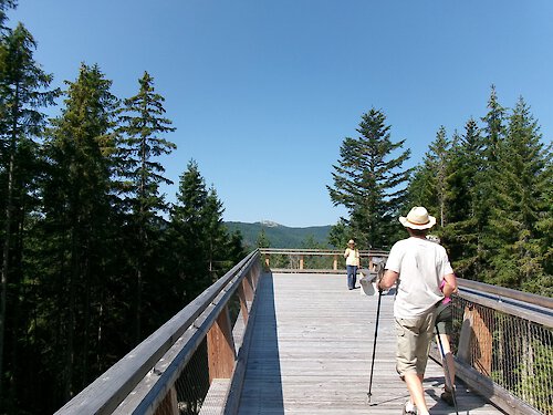 Wandergruppe auf dem Weg zum Siebensteinkopf im Nationalpark Bayerischer Wald